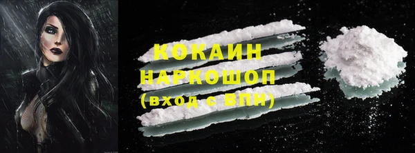 индика Алзамай