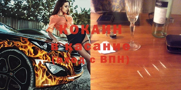 индика Алзамай
