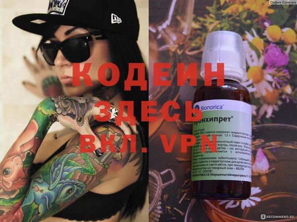 индика Алзамай