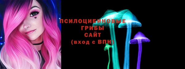 индика Алзамай