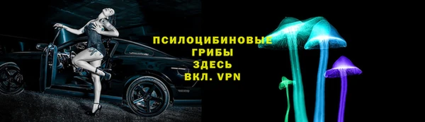 индика Алзамай
