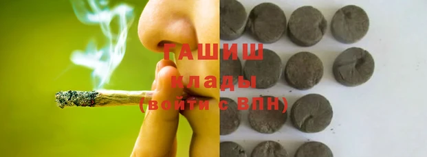 индика Алзамай