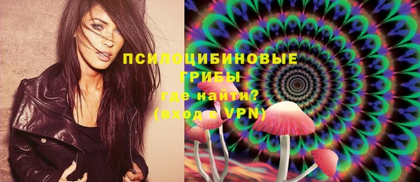 индика Алзамай