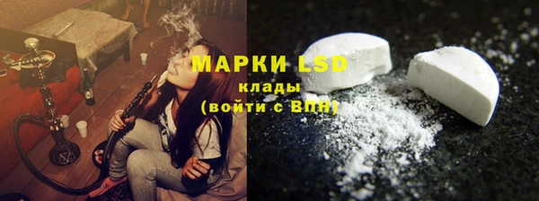 индика Алзамай