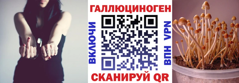 Псилоцибиновые грибы GOLDEN TEACHER  Зарайск 